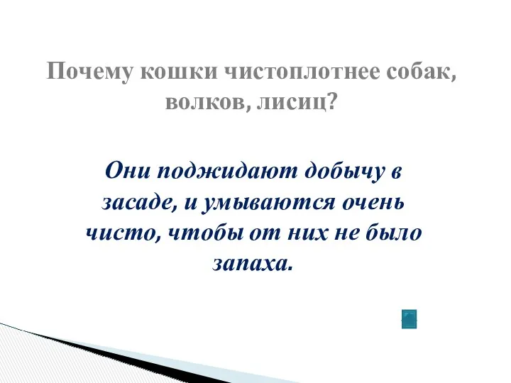 Почему кошки чистоплотнее собак, волков, лисиц? Они поджидают добычу в