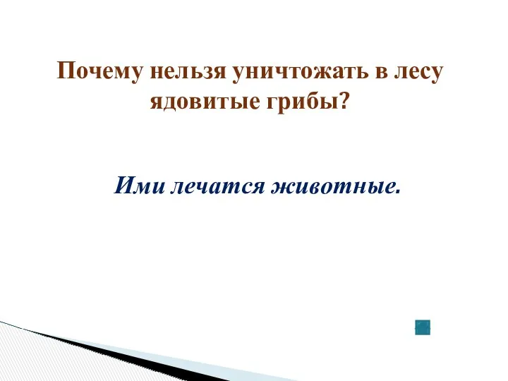 Почему нельзя уничтожать в лесу ядовитые грибы? Ими лечатся животные.