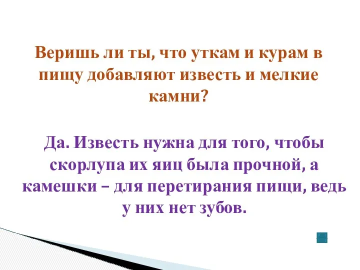 Веришь ли ты, что уткам и курам в пищу добавляют