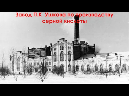 Завод П.К Ушкова по производству серной кислоты