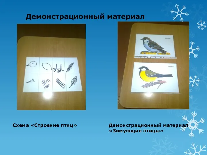 Демонстрационный материал Схема «Строение птиц» Демонстрационный материал «Зимующие птицы»