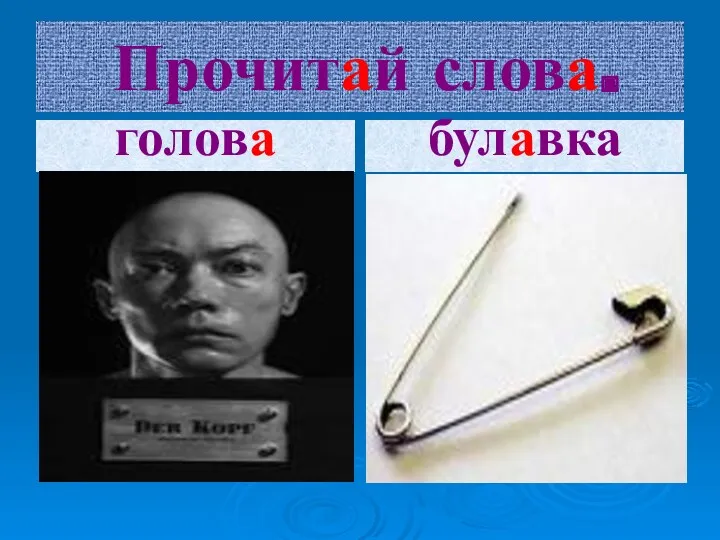 Прочитай слова. голова булавка