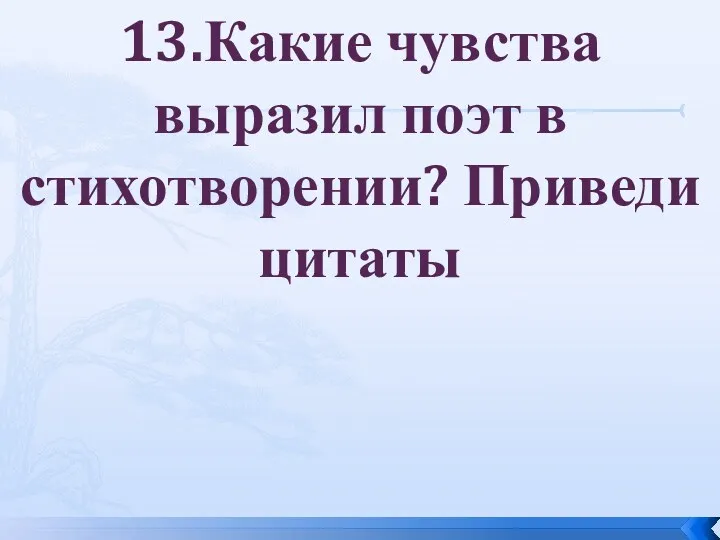 13.Какие чувства выразил поэт в стихотворении? Приведи цитаты