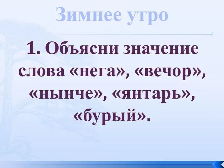 Зимнее утро 1. Объясни значение слова «нега», «вечор», «нынче», «янтарь», «бурый».