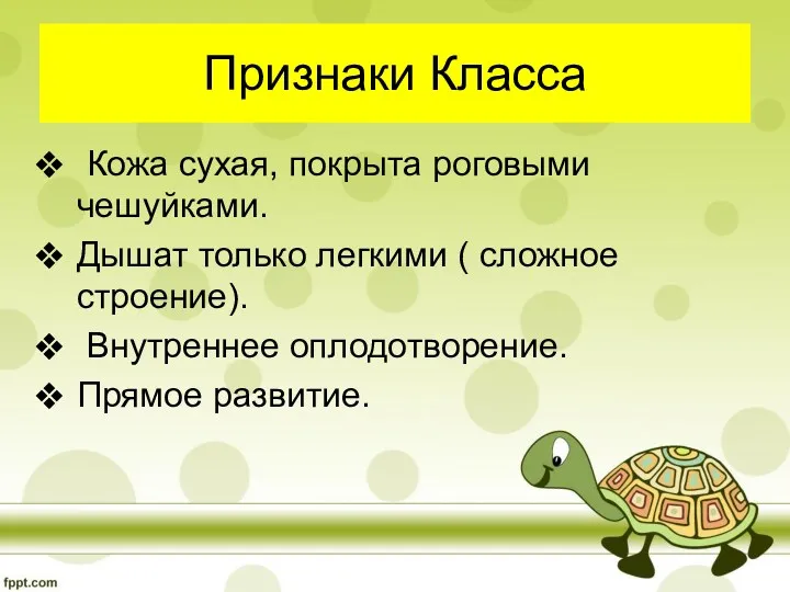 Признаки Класса Кожа сухая, покрыта роговыми чешуйками. Дышат только легкими