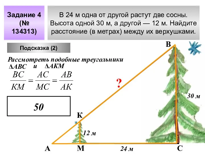 В 24 м одна от другой растут две сосны. Высота