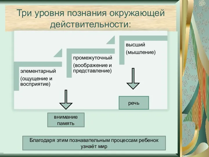 Три уровня познания окружающей действительности: речь Благодаря этим познавательным процессам ребенок узнаёт мир внимание память