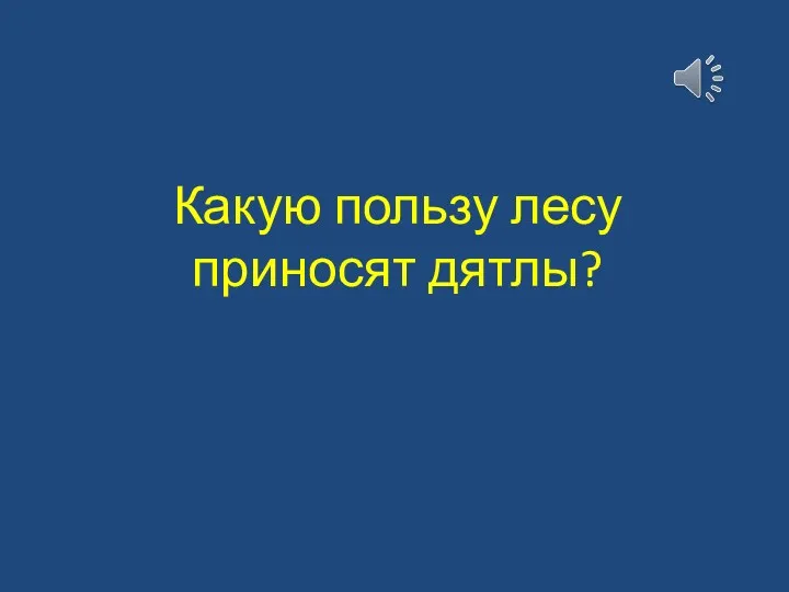 Какую пользу лесу приносят дятлы?