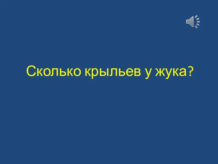 Сколько крыльев у жука?