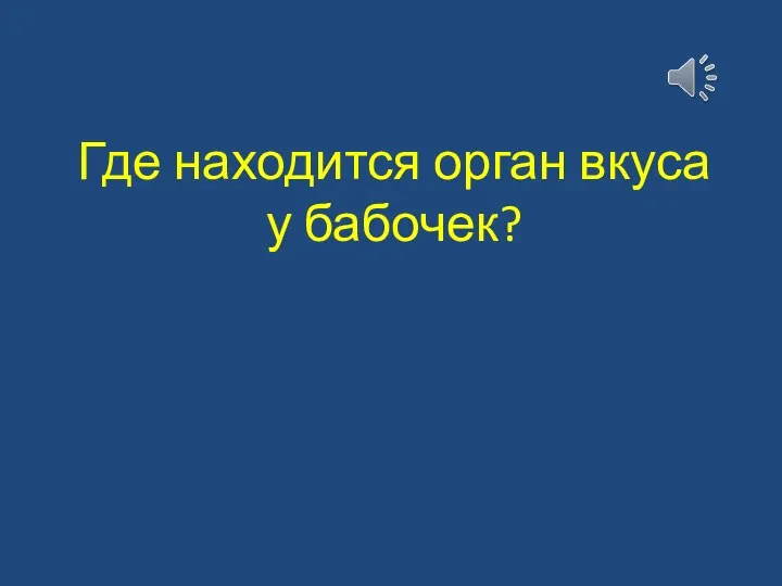 Где находится орган вкуса у бабочек?