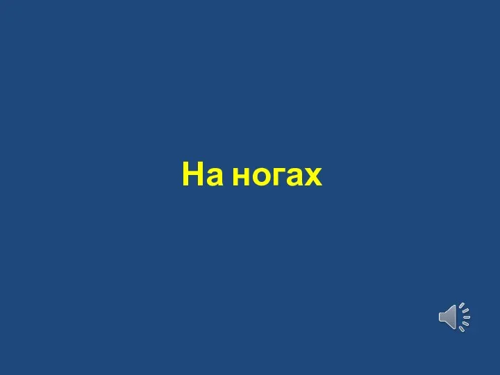 На ногах