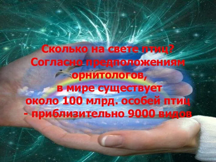 Сколько на свете птиц? Согласно предположениям орнитологов, в мире существует