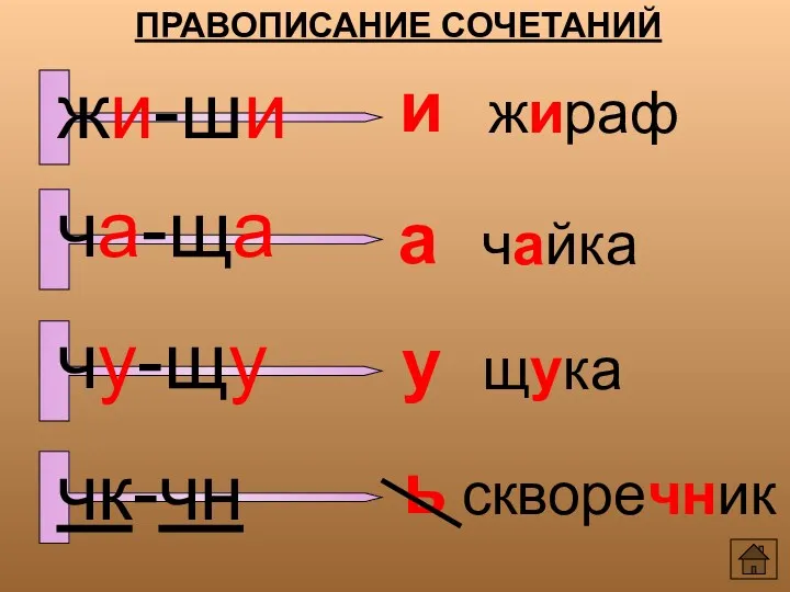 ПРАВОПИСАНИЕ СОЧЕТАНИЙ и а у ь жираф чайка щука скворечник