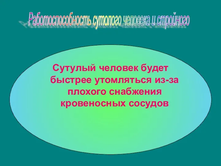 Сутулый человек будет быстрее утомляться из-за плохого снабжения кровеносных сосудов Работоспособность сутолого человека и стройного