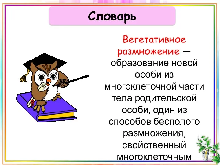 Словарь Вегетативное размножение — образование новой особи из многоклеточной части тела родительской особи,