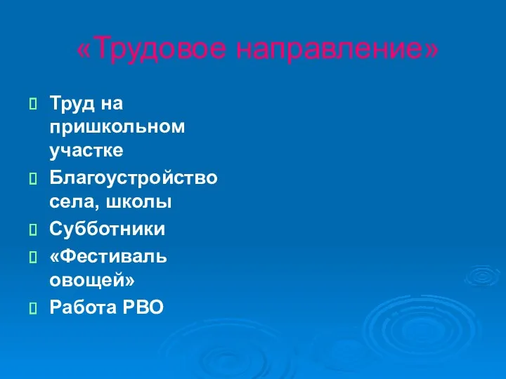 «Трудовое направление» Труд на пришкольном участке Благоустройство села, школы Субботники «Фестиваль овощей» Работа РВО