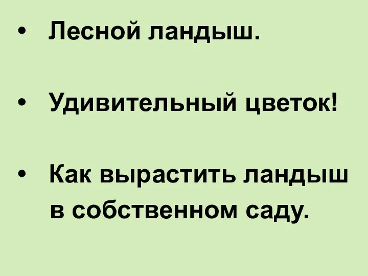 Лесной ландыш. Удивительный цветок! Как вырастить ландыш в собственном саду.