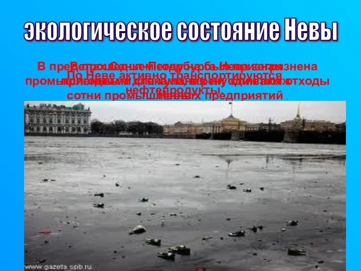 экологическое состояние Невы В пределах Санкт-Петербурга Нева загрязнена промышленными стоками,