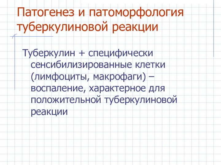 Патогенез и патоморфология туберкулиновой реакции Туберкулин + специфически сенсибилизированные клетки