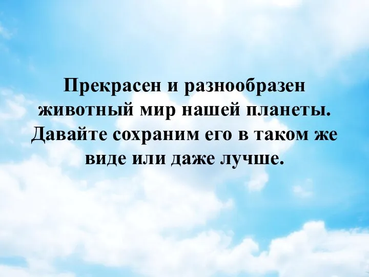 Прекрасен и разнообразен животный мир нашей планеты. Давайте сохраним его