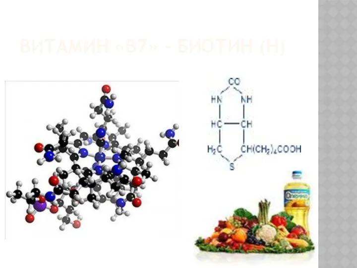 Витамин «В7» – биотин (Н)