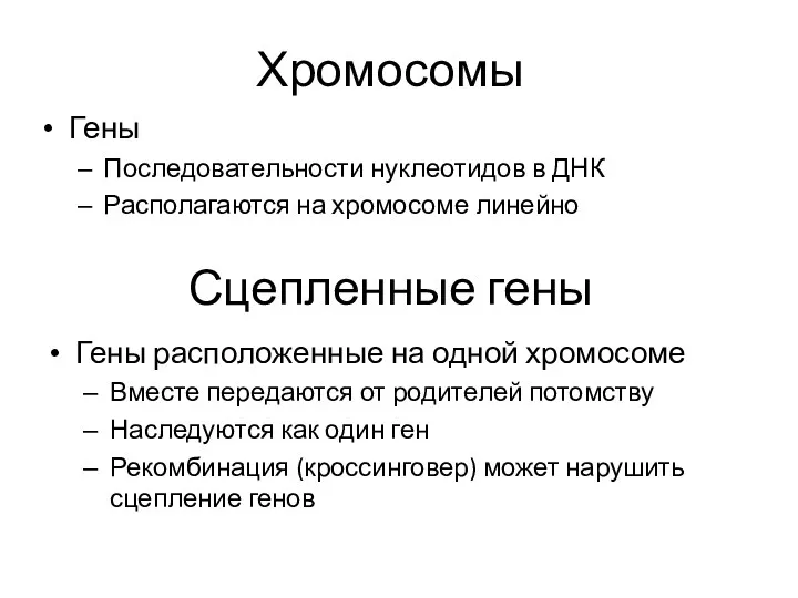 Хромосомы Гены Последовательности нуклеотидов в ДНК Располагаются на хромосоме линейно