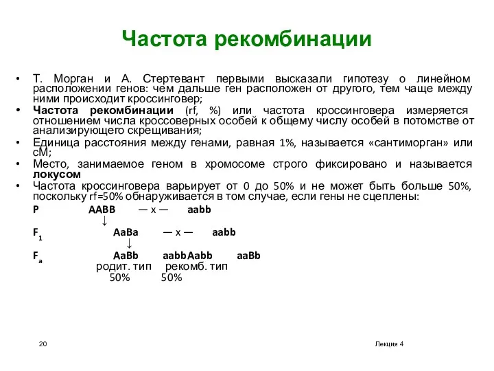 Лекция 4 Частота рекомбинации Т. Морган и А. Стертевант первыми