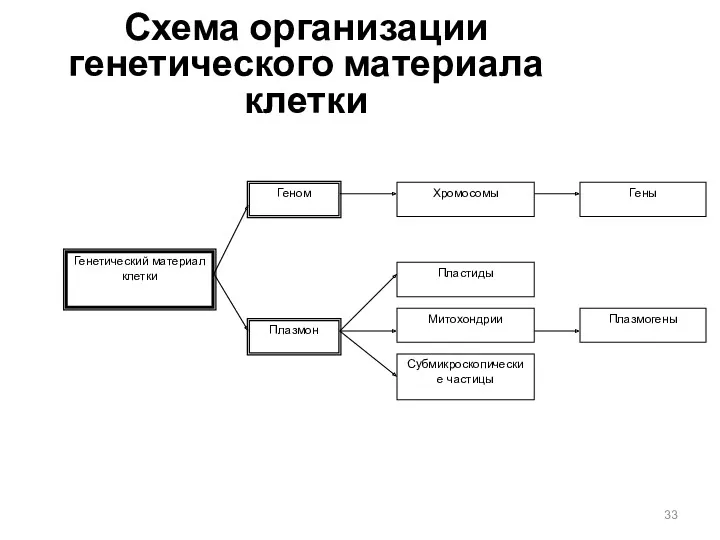 Схема организации генетического материала клетки