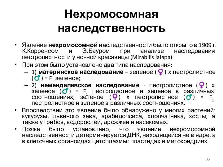 Нехромосомная наследственность Явление нехромосомной наследственности было открыто в 1909 г.