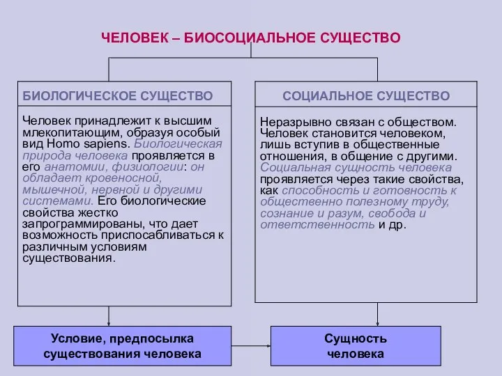 ЧЕЛОВЕК – БИОСОЦИАЛЬНОЕ СУЩЕСТВО Условие, предпосылка существования человека Сущность человека