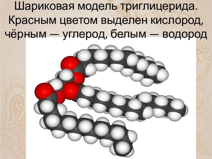 Шариковая модель триглицерида. Красным цветом выделен кислород, чёрным — углерод, белым — водород