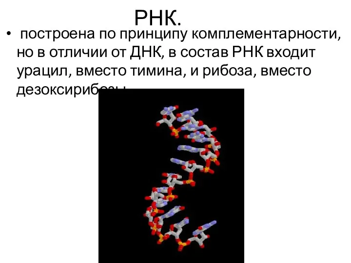 РНК. построена по принципу комплементарности, но в отличии от ДНК,
