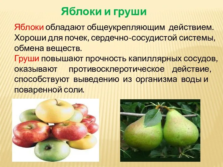 Яблоки и груши Яблоки обладают общеукрепляющим действием. Хороши для почек,