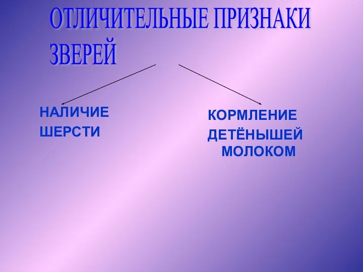 НАЛИЧИЕ ШЕРСТИ КОРМЛЕНИЕ ДЕТЁНЫШЕЙ МОЛОКОМ ОТЛИЧИТЕЛЬНЫЕ ПРИЗНАКИ ЗВЕРЕЙ