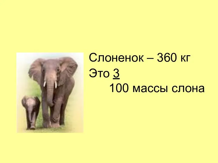 Слоненок – 360 кг Это 3 100 массы слона