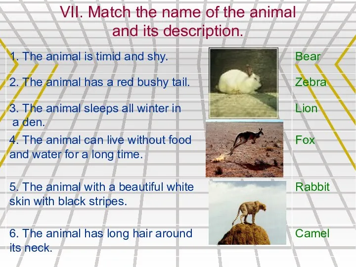 VII. Match the name of the animal and its description.