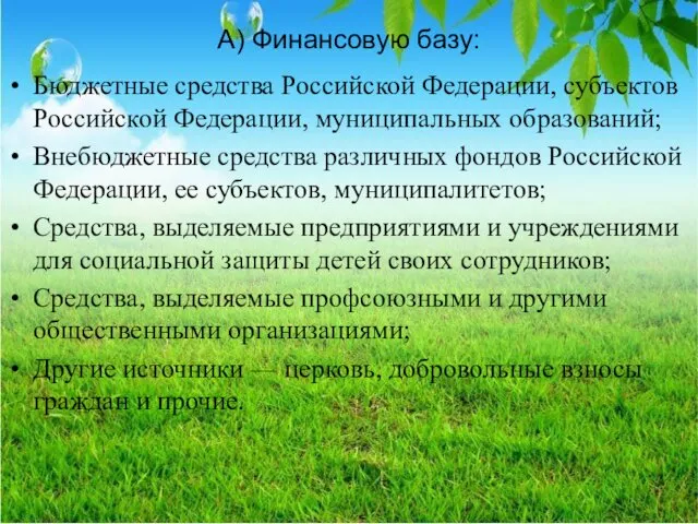 А) Финансовую базу: Бюджетные средства Российской Федерации, субъектов Российской Федерации,