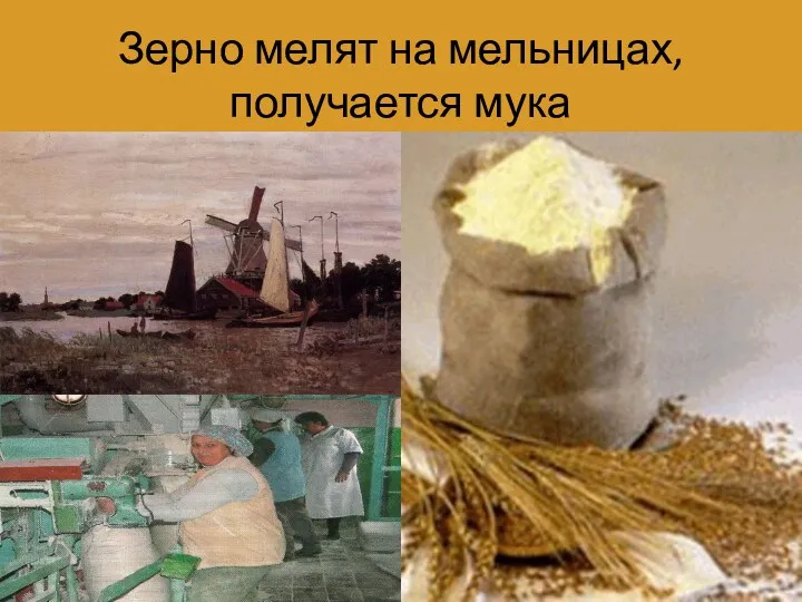 Зерно мелят на мельницах, получается мука