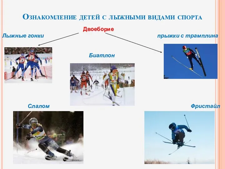 Ознакомление детей с лыжными видами спорта Двоеборие Слалом Фристайл Биатлон Лыжные гонки прыжки с трамплина