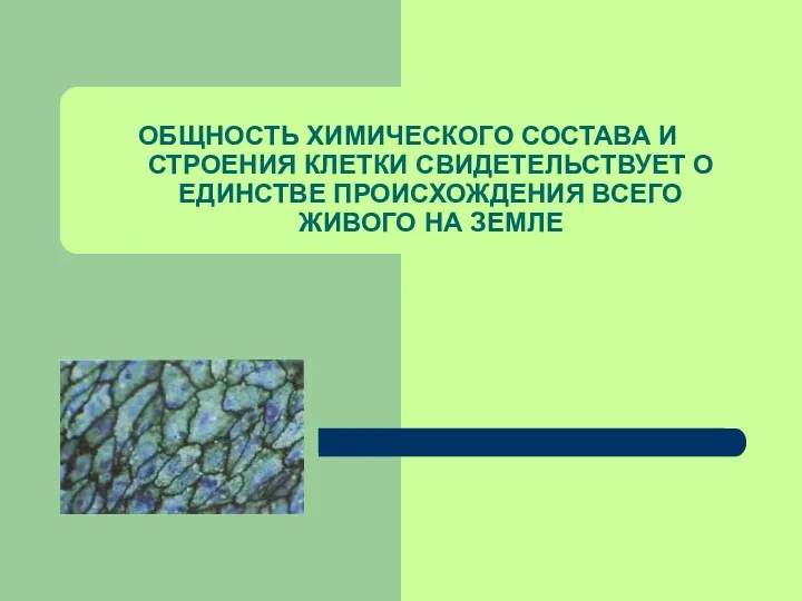 ОБЩНОСТЬ ХИМИЧЕСКОГО СОСТАВА И СТРОЕНИЯ КЛЕТКИ СВИДЕТЕЛЬСТВУЕТ О ЕДИНСТВЕ ПРОИСХОЖДЕНИЯ ВСЕГО ЖИВОГО НА ЗЕМЛЕ