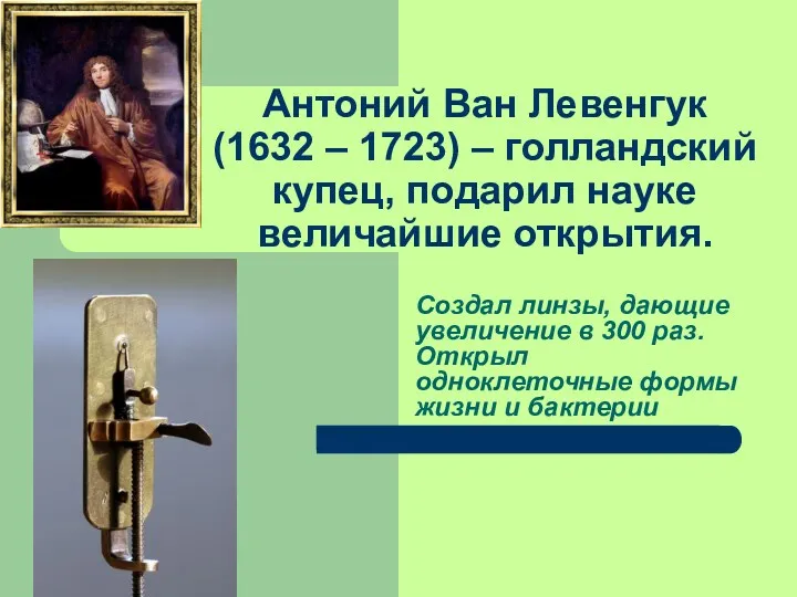 Антоний Ван Левенгук (1632 – 1723) – голландский купец, подарил