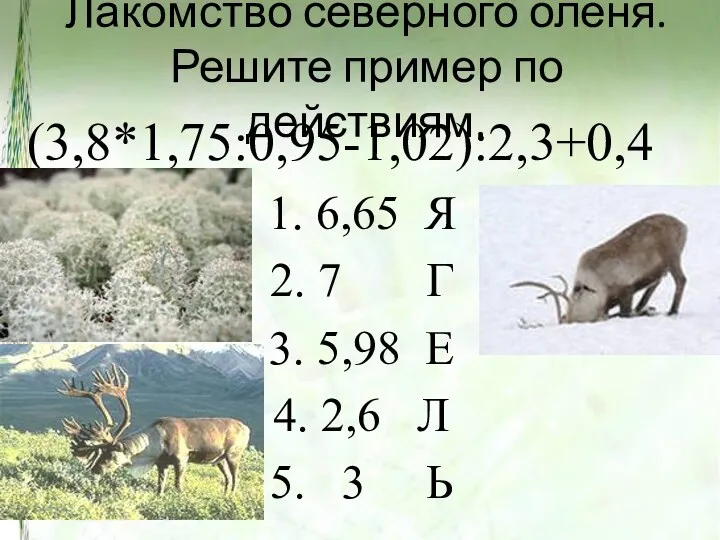 Лакомство северного оленя. Решите пример по действиям. (3,8*1,75:0,95-1,02):2,3+0,4 1. 6,65