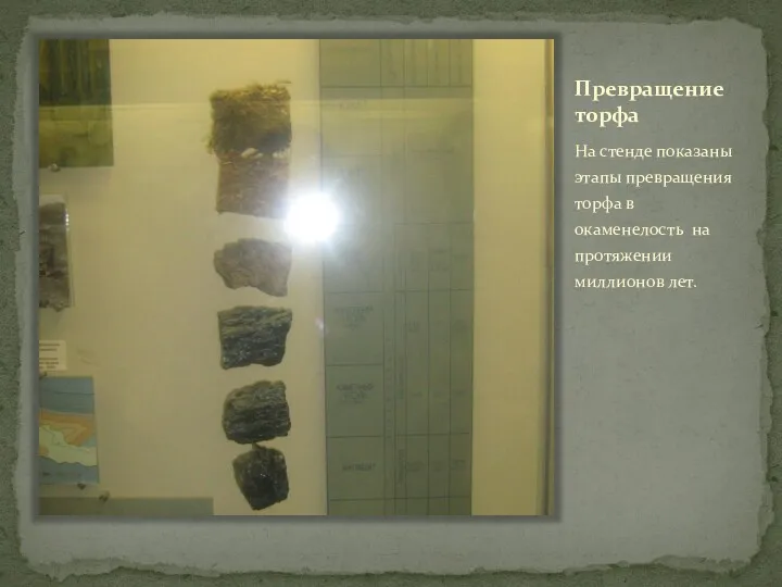 Превращение торфа На стенде показаны этапы превращения торфа в окаменелость на протяжении миллионов лет.