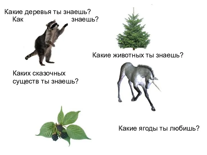 Какие деревья ты знаешь? Какие деревья ты знаешь? Какие животных