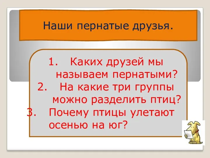 Наши пернатые друзья. Каких друзей мы называем пернатыми? На какие