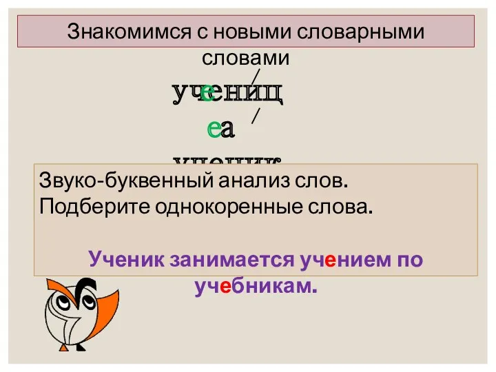 Знакомимся с новыми словарными словами ученица ученик е е Звуко-буквенный