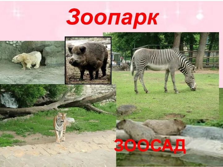 Зоопарк ЗООСАД