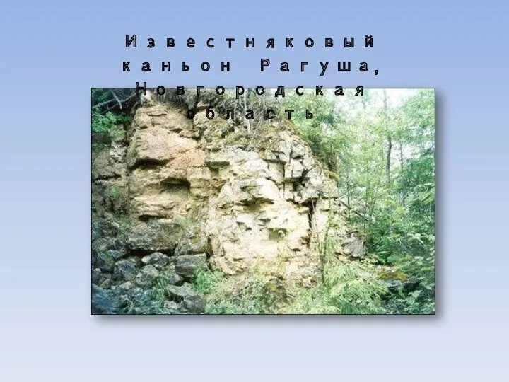 Известняковый каньон Рагуша, Новгородская область