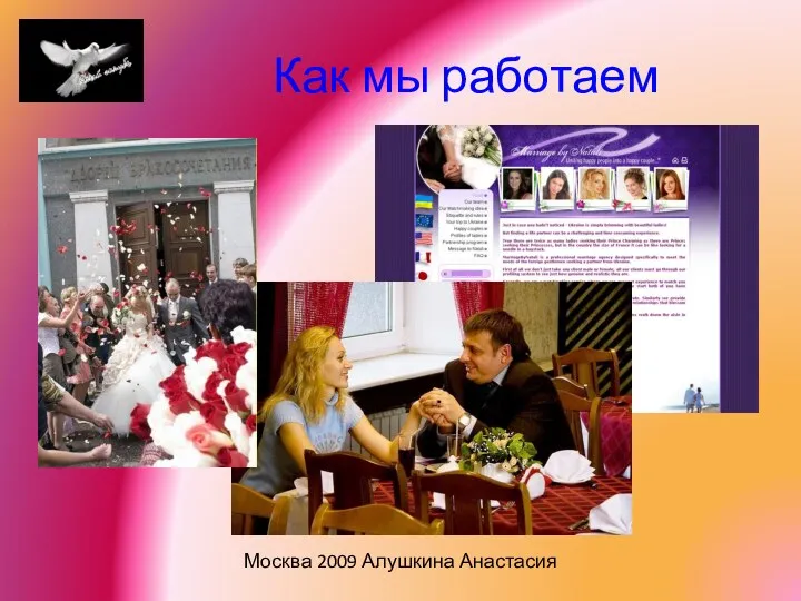 Как мы работаем Москва 2009 Алушкина Анастасия
