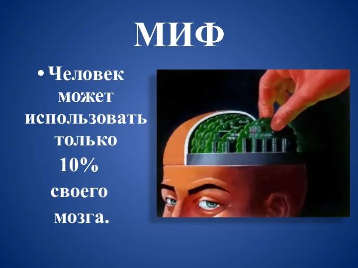 МИФ Человек может использовать только 10% своего мозга.